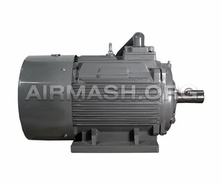 Электродвигатель для W-45(45 KW),YK2-200L3-2