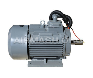 Электродвигатель для W-22(22 KW),YE3-160L2-2